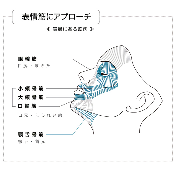 表情筋にアプローチ