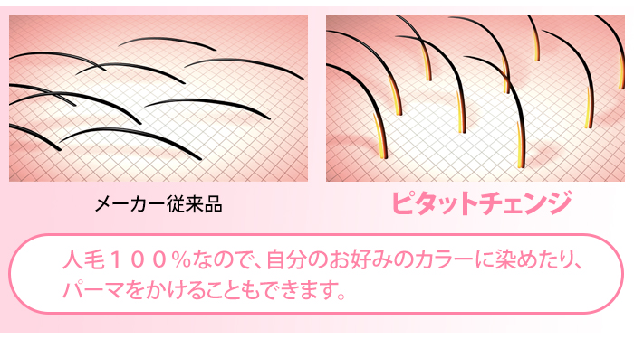 人毛100%なので、自分のお好みのカラーに染めたり、パーマをかけることもできます。