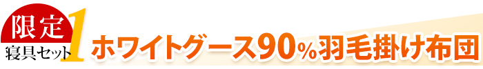 限定寝具セット1「ホワイトグース90%羽毛掛け布団」