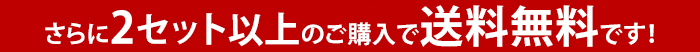 さらに2セット以上のご購入で送料無料です!