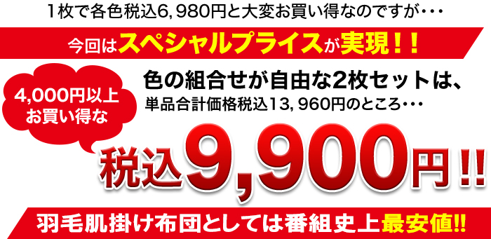 数量限定スペシャルプライス