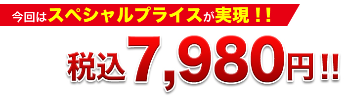 数量限定スペシャルプライス