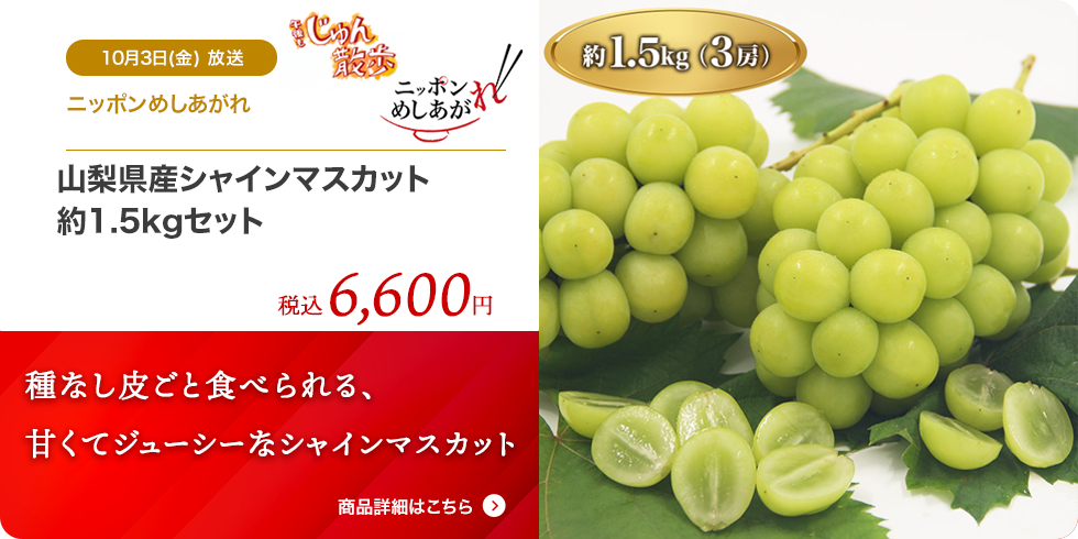 山梨県産シャインマスカット約1.5kgセット