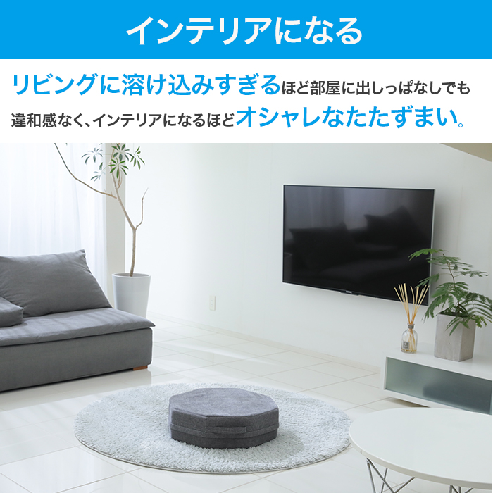ジムテリア シェイプエイト | 999-110102 | 【公式】テレビ