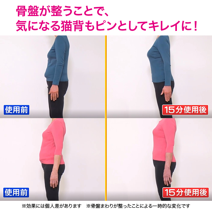 芦屋美整体 骨盤スリムストレッチエアー | 999-110407 | 【公式