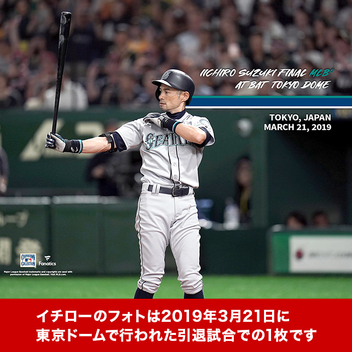 イチロー＆大谷翔平」直筆サイン入り MLB公認ボール | 999-111338 | 【公式】テレビ