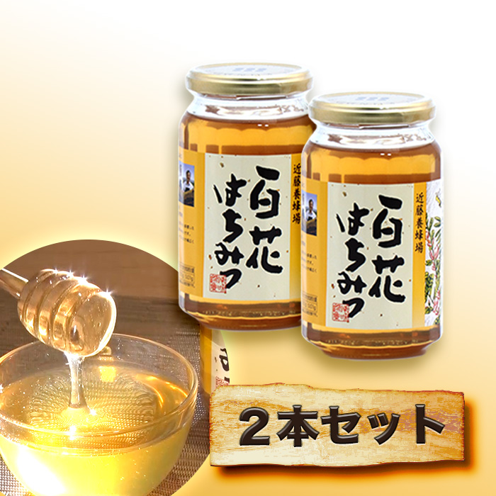 国産蜂蜜　ハチミツ　百花　はちみつ　2本 近藤養蜂場 国産百花はちみつ 2本セット | 999-111985 | 【公式
