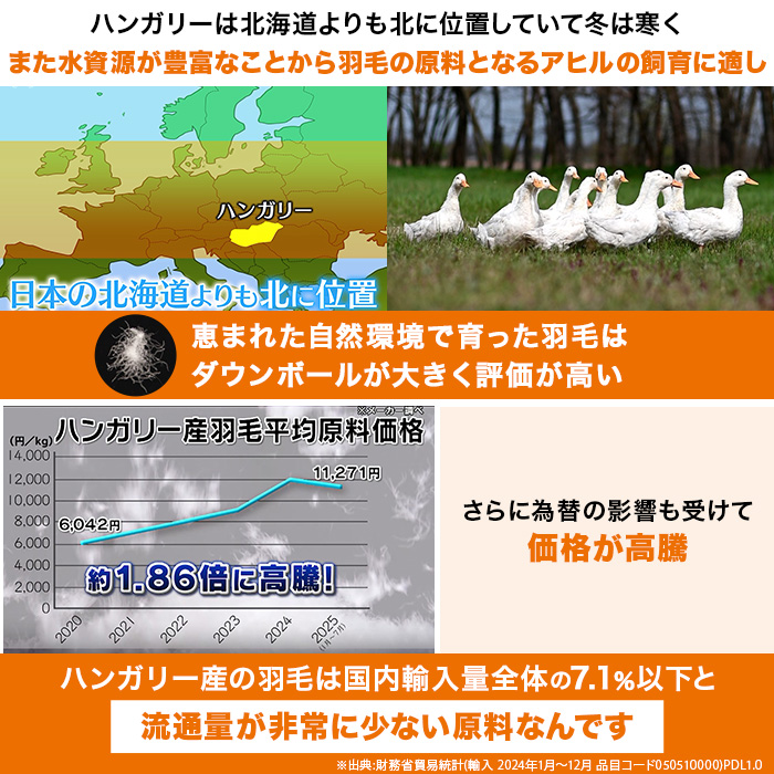 モリリン ハンガリー産4つ星ホワイトダックダウン高級羽毛掛け布団
