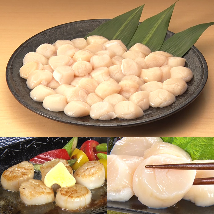 北海道オホーツク産 ほたて貝柱 1kg | 999-112256 | 【公式】テレビ