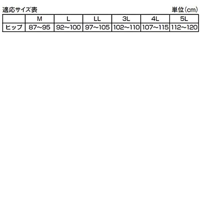シルエットすっきりレースショーツ6色組(同サイズ)LL・3L | 999-304696