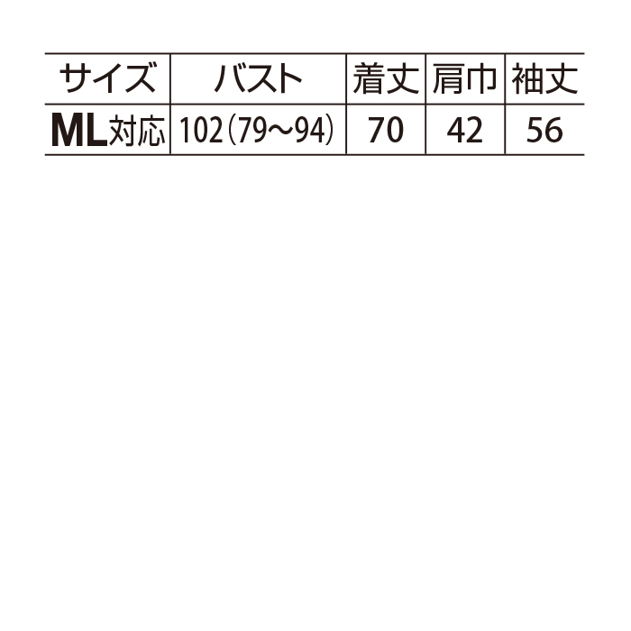 刺しゅう使いピンタックブラウス 刺しゅう入りピンタックブラウス （シャツ・ブラウス