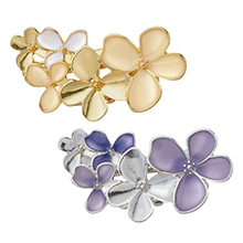 セミオトコ」DVD-BOX | 905-913772 | 【公式】テレビ