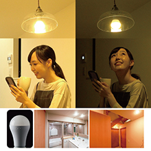 停電時でも使える 防災電球