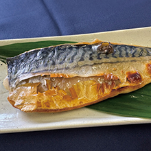 大きなさば丸 ふっくら塩さば 8枚セット