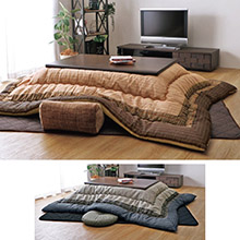 大橋和也『リベンジ・スパイ』菅原優我 ドラマコレクションカード