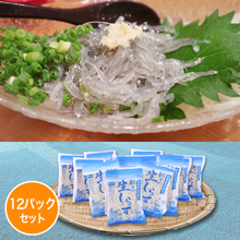静岡県遠州灘産 冷凍生しらす 12パックセット(各100g) 静岡県遠州灘産 冷凍生しらす 12パックセット(各100g)