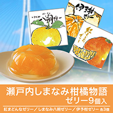 瀬戸内しまなみ柑橘物語 ゼリー9個入 瀬戸内しまなみ柑橘物語 ゼリー9個入