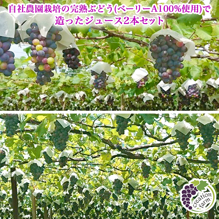 山梨「ドメーヌ クリエーション ファーム自社農園」 ぶどうジュース2本