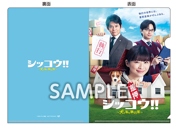 シッコウ 犬と私と執行官 全巻完結セット dvd 伊藤沙莉/中島健人/織田裕二 伊藤沙莉、GP帯連ドラ初主演 『シッコウ!!～犬と私と執行官