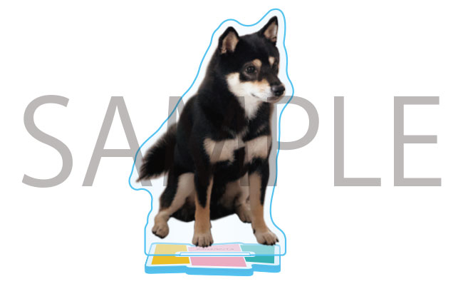 私たちが恋する理由 DVD-BOX〈4枚組〉 私たちが恋する理由 DVD-BOX〈4枚組〉 Amazon.co.jp: 【Amazon.co.jp