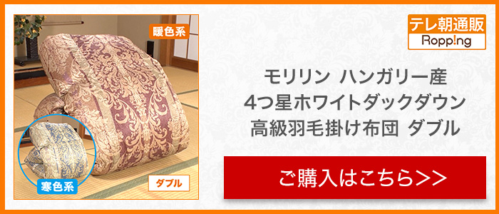 モリリン ハンガリー産4つ星ホワイトダックダウン高級羽毛掛け布団