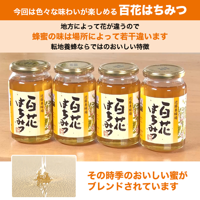 国産ハチミツ はちみつ 蜂蜜 【3月11日以降発送】