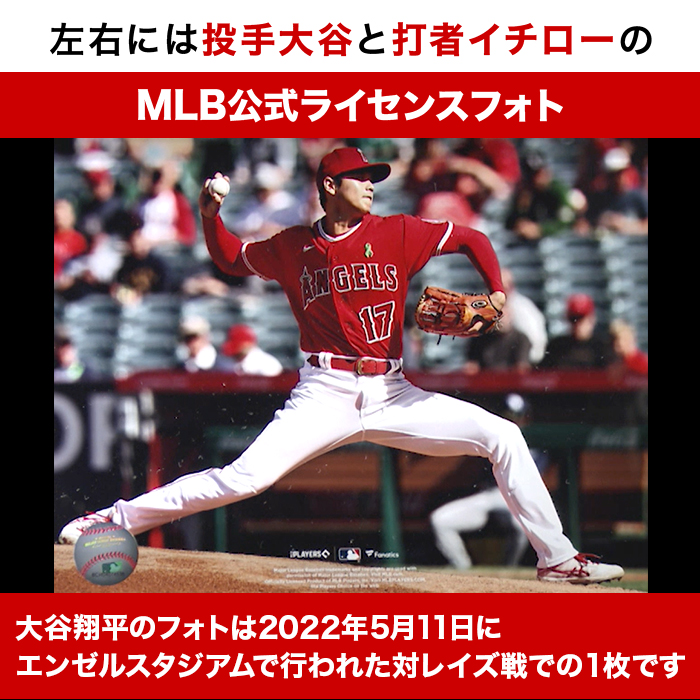 イチロー＆大谷翔平」直筆サイン入り MLB公認ボール | 【公式】テレビ ...